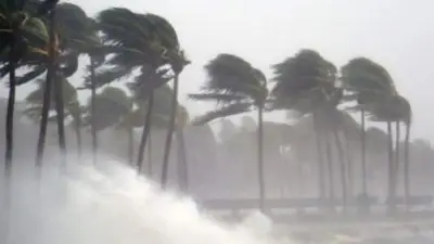 ডেঙ্গুতে ২৪ ঘণ্টায় ১ মৃত্যু, হাসপাতালে ১১০ ভর্তি