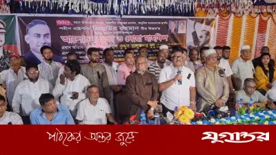 শহীদ জিয়ার ঘোষণায় আমরা বাংলাদেশ পেয়েছি: দুলু