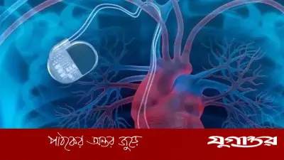 হৃদযন্ত্রের প্রাকৃতিক পেসমেকার তৈরিতে চীনের সাফল্য