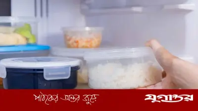 ফ্রিজে রাখা ভাত খাওয়ার ক্ষতিকর দিক ও নিরাপদ সংরক্ষণ পদ্ধতি
