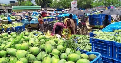 মালয়েশিয়ার বাজারে যাচ্ছে বাংলাদেশের তাজা আম