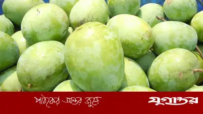 মালয়েশিয়ার বাজারে বাংলাদেশি আম রপ্তানির পথ উন্মুক্তের সম্ভাবনা