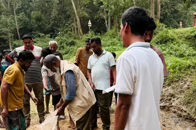 অজগর শাবক খরগোশ গিলে বমি করে দিল, বন বিভাগ উদ্ধার করে ছেড়ে দিল