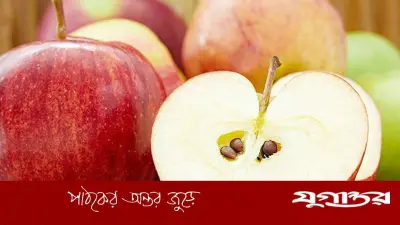 আপেলের বীজে কি মৃত্যু লুকিয়ে? বিজ্ঞান যা বলছে