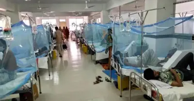 ডেঙ্গু প্রতিরোধে দেশজুড়ে চিরুনি অভিযান ও বিশেষ প্রস্তুতি সরকারের