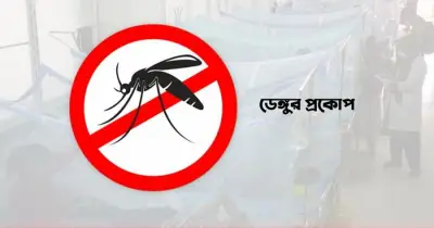 ডেঙ্গুতে ২৪ ঘণ্টায় হাসপাতালে ভর্তি ৭৭ জন, মৃত্যু ৬
