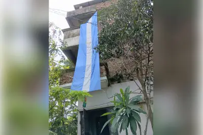 আর্জেন্টিনার পতাকা টাঙাতে গিয়ে মৌমাছির আক্রমণে আহত সমর্থক
