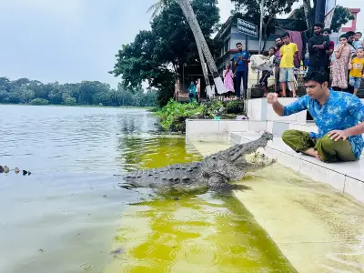 বাগেরহাটের মাজার দিঘিতে কুমিরের আক্রমণ: ঐতিহ্য বনাম নিরাপত্তা সংকট