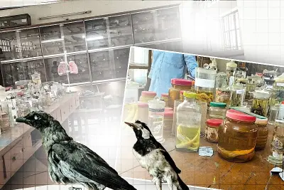 ভিডিওতে বাংলাদেশের নতুন দিগন্ত: প্রযুক্তির অগ্রযাত্রা