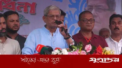 এক মহল দেশকে অস্থিতিশীল করছে: মির্জা ফখরুল