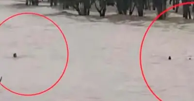 সীতাকুণ্ডে চার পর্যটককে উদ্ধার, সৈকতে লাল পতাকা