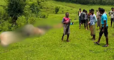 মৌলভীবাজারে বজ্রপাতে ১৪ গবাদিপশুর মৃত্যু, আর্থিক ক্ষতিগ্রস্ত কৃষকরা