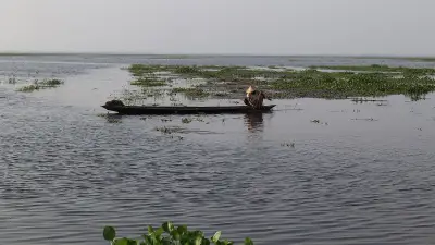 বন্যার পানিতে তলিয়ে গেছে কৃষকের স্বপ্ন, কাউয়াদীঘি হাওরে হাহাকার