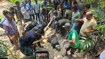 খানজাহান আলী মাজারের দিঘি থেকে কুমির সরানোর প্রতিবাদ খাদেমের