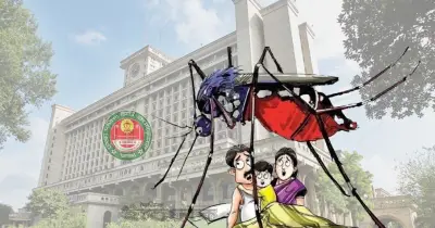 ডিএসসিসির ৬৩ ওয়ার্ডে এডিস মশার ঘনত্ব বেশি, ২৭টি চরম ঝুঁকিপূর্ণ