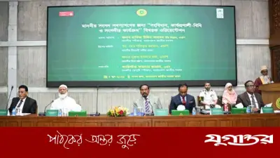 ত্রয়োদশ সংসদ জনমুখী শাসন নিশ্চিতে কাজ করছে: স্পিকার