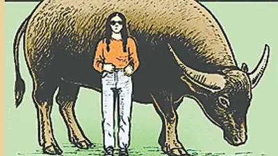 ফেসবুকের মজার পেজ 'ফানি ফটো' এখন ১০ লাখ সদস্যের
