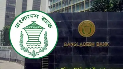 বৈদেশিক মুদ্রার বাজার স্থিতিশীল রাখতে ২৫ মিলিয়ন ডলার কিনল বাংলাদেশ ব্যাংক