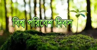 বিশ্ব পরিবেশ দিবস: জলবায়ু পরিবর্তন মোকাবিলায় সচেতনতা বাড়ানোর আহ্বান
