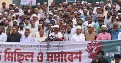 বিদ্যুৎ ও জ্বালানি খাতে সরকারি সিন্ডিকেটের লুটপাট বন্ধের দাবি জামায়াতের