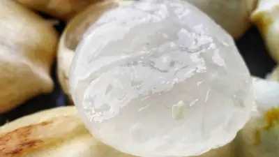 গ্রীষ্মের তীব্র তাপপ্রবাহ ও প্রকৃতির মধুঋতু