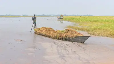 জলবায়ু সংকটে সামরিক নির্গমন তথ্য লুকোচুরি: বিশ্ব পরিবেশ দিবসে প্রতারণার অভিযোগ