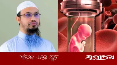টেস্টটিউব বেবি নেওয়া কি হারাম? যা বললেন শায়খ আহমাদুল্লাহ