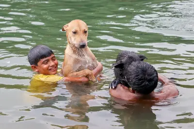 তাপপ্রবাহে বিপর্যস্ত জনজীবন, প্রাণীও খুঁজছে স্বস্তি