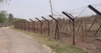 নওগাঁ সীমান্তে বিএসএফের পুশইন চেষ্টা ব্যর্থ, আটক ১৭ জন