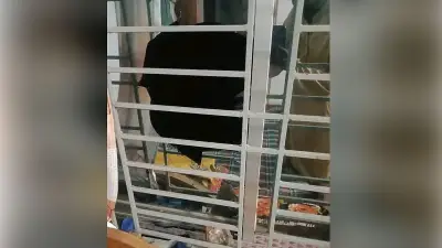 নোয়াখালীতে ছাত্রদল নেতার বাড়িতে হামলা, ভাঙচুর