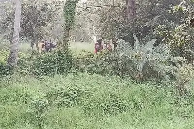বিএসএফের ঠেলে পাঠানো ২৮ জন সীমান্তের শূন্যরেখায়, বিজিবির প্রতিরোধে পতাকা বৈঠক