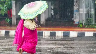 ৮ বিভাগে বৃষ্টির আভাস, তাপমাত্রা কমার সম্ভাবনা