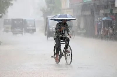 ঝুম বৃষ্টির মাঝে ছাতা মাথায় সাইকেল চালাচ্ছেন এক ব্যক্তি