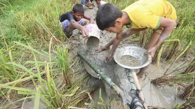 বৃষ্টি ও ঈদের ছুটির পর শিক্ষাপ্রতিষ্ঠান খোলা, নানা দৃশ্য