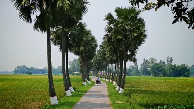 জয়পুরহাটে তালগাছঘেরা সড়ক, প্রকৃতিপ্রেমীদের মিলনস্থল