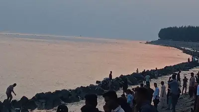 প্রকৃতির অপার সৌন্দর্যে নারকেলগাছ থেকে ঝরনা পর্যন্ত