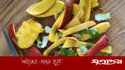 আমের খোসা ফেলে না দিয়ে ঘরোয়া কাজে ব্যবহার করুন