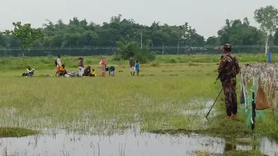 পঞ্চগড়ে বিএসএফের পুশ ইন চেষ্টা, ৬৯ ঘণ্টা পর সরানো হলো ১০ জনকে