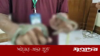 ডিআইজির অফিস থেকে উদ্ধার দুই কালনাগিনী সাপ