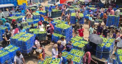 রাজশাহীর বানেশ্বর হাটে আমের বাজার জমজমাট, দামে হতাশ চাষিরা