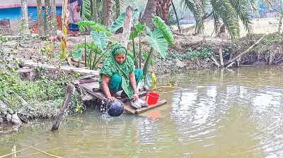 লবণাক্ততায় বিপর্যস্ত দক্ষিণাঞ্চলের জনজীবন: স্বাস্থ্য ও কৃষি সংকট