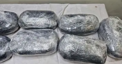 কুরিয়ারে নাড়ু বলে পাঠানো ১৪ কেজি গাঁজা উদ্ধার
