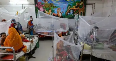 ২৪ ঘণ্টায় ডেঙ্গু আক্রান্ত ১০১, বরিশালে সর্বোচ্চ