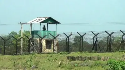 শিবগঞ্জ সীমান্তে ২০ জনকে পুশইনের চেষ্টা, প্রতিরোধ করেছে বিজিবি