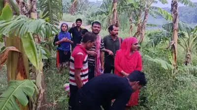 সীমান্তে আরো ১১ জনকে পুশইনের চেষ্টা, চুন কারখানায় বিষাক্ত ধোঁয়ায় অতিষ্ঠ এলাকাবাসী