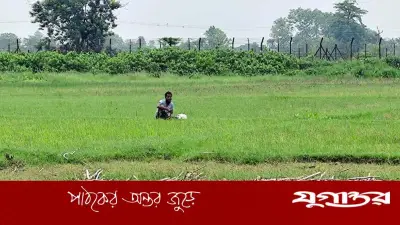 জামালপুর সীমান্তে বিএসএফের পুশইন চেষ্টা ব্যর্থ, শূন্যরেখায় যুবক