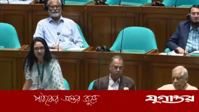 জাতীয়-আন্তর্জাতিকভাবে সমাদৃত হয়েছে বাজেট: সমাজকল্যাণ প্রতিমন্ত্রী