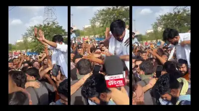 জয়পুরে তেলাপোকা পার্টির নেতাকে চড়-থাপ্পড়, গ্রেপ্তার ৫