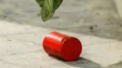 মিছিলে ককটেল বিস্ফোরণ, অভিনেতা জাহের আলভী কারাগারে, মেসিকে ব্রাজিলে নেওয়ার ভাবনা