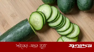 তীব্র গরমে সুস্থ থাকার সেরা খাবার শসা: জেনে নিন ৬টি উপকারিতা